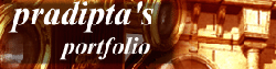 welcome to pradipta's portfolio - home